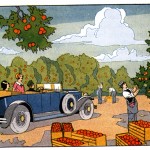 Apple Orchard 1890-1930